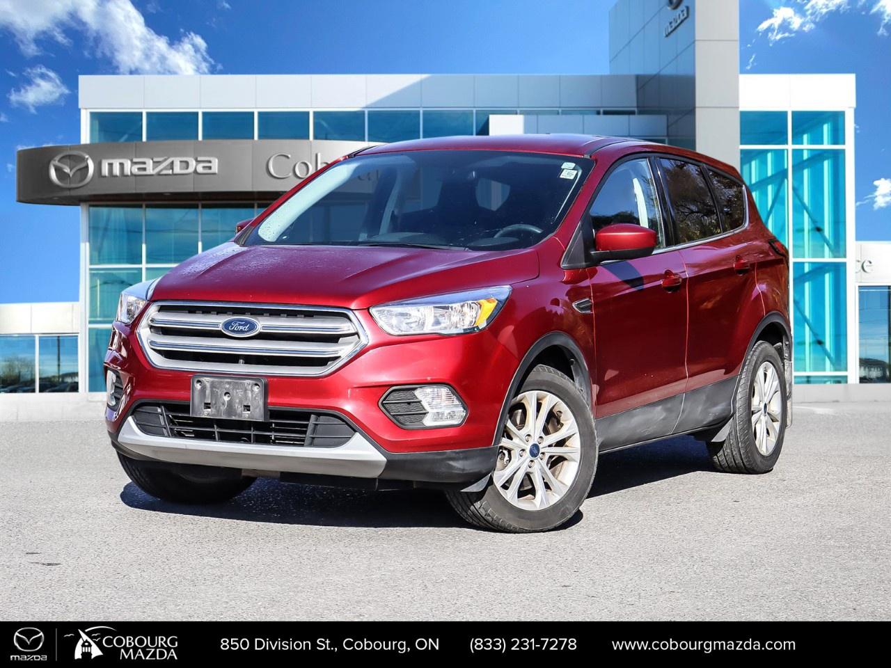 2019 Ford Escape SE 4WD Photo