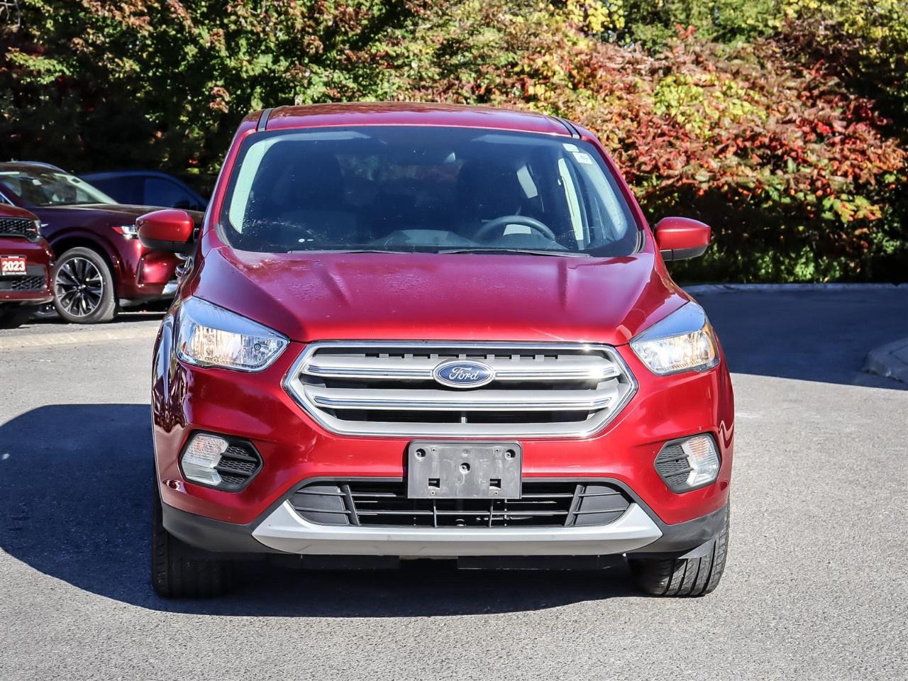 2019 Ford Escape SE 4WD Photo2