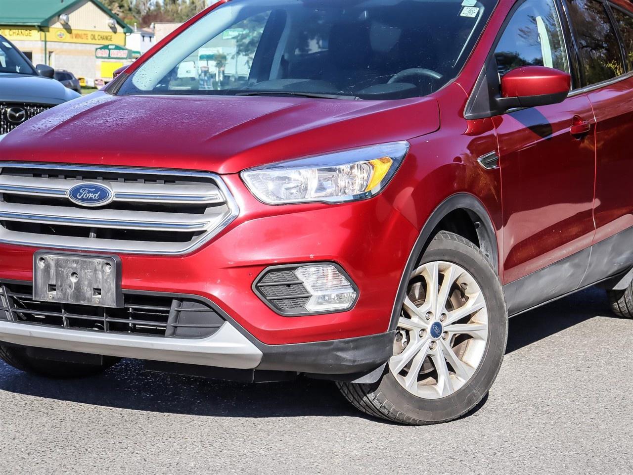 2019 Ford Escape SE 4WD Photo1