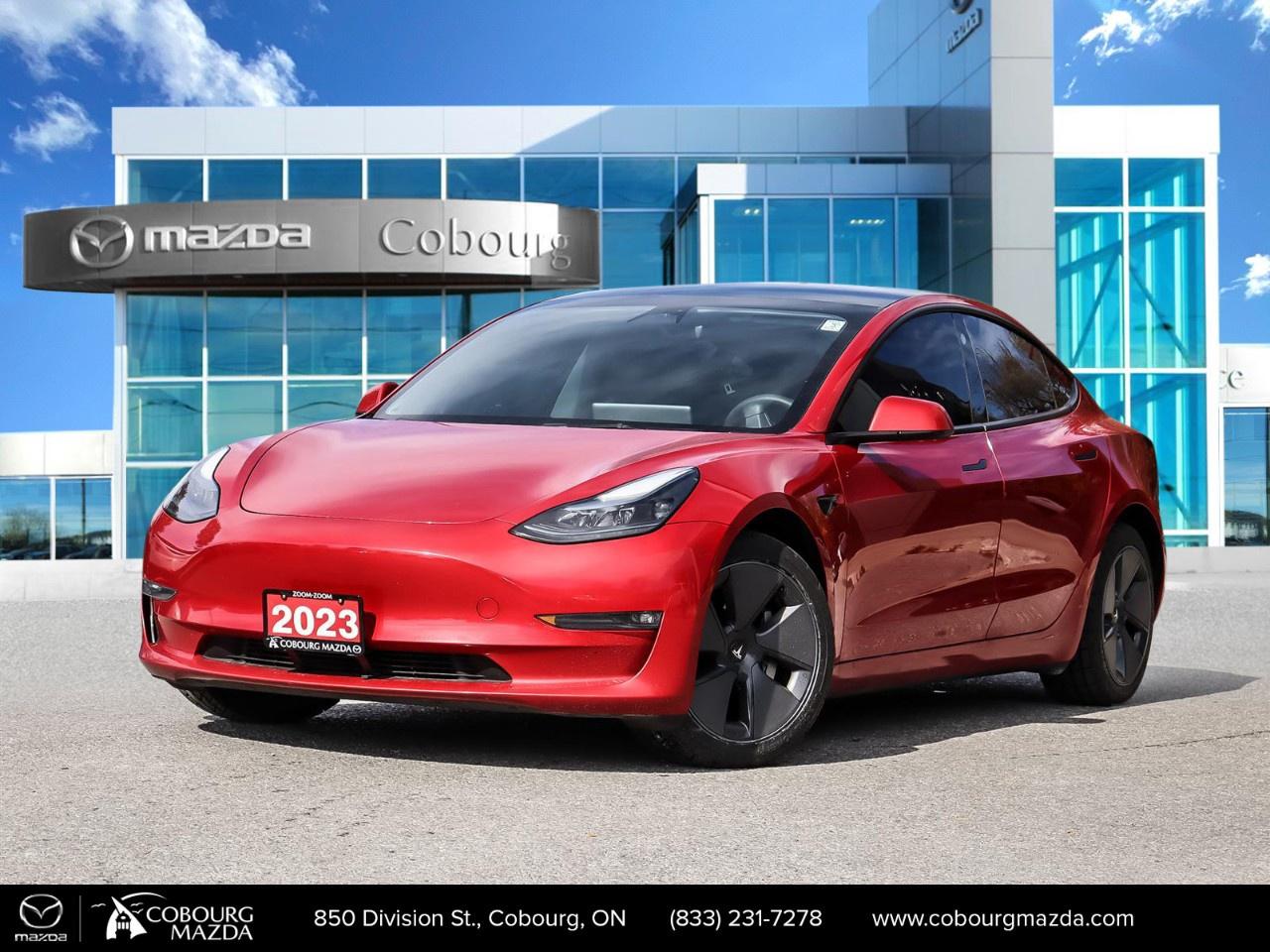 2023 Tesla Model 3 Long Range AWD Photo