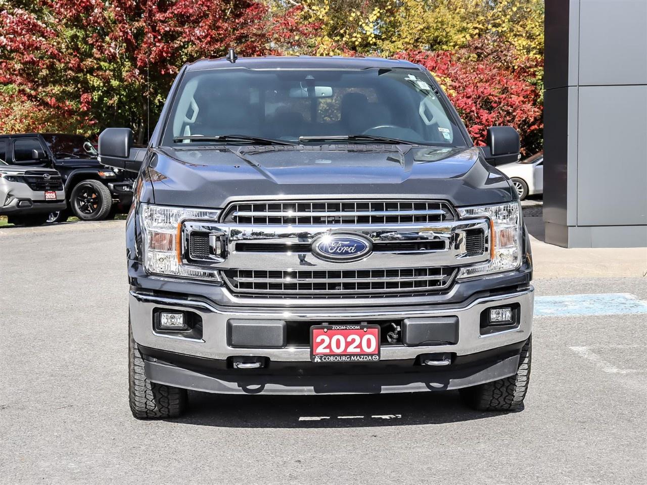2020 Ford F-150  Photo
