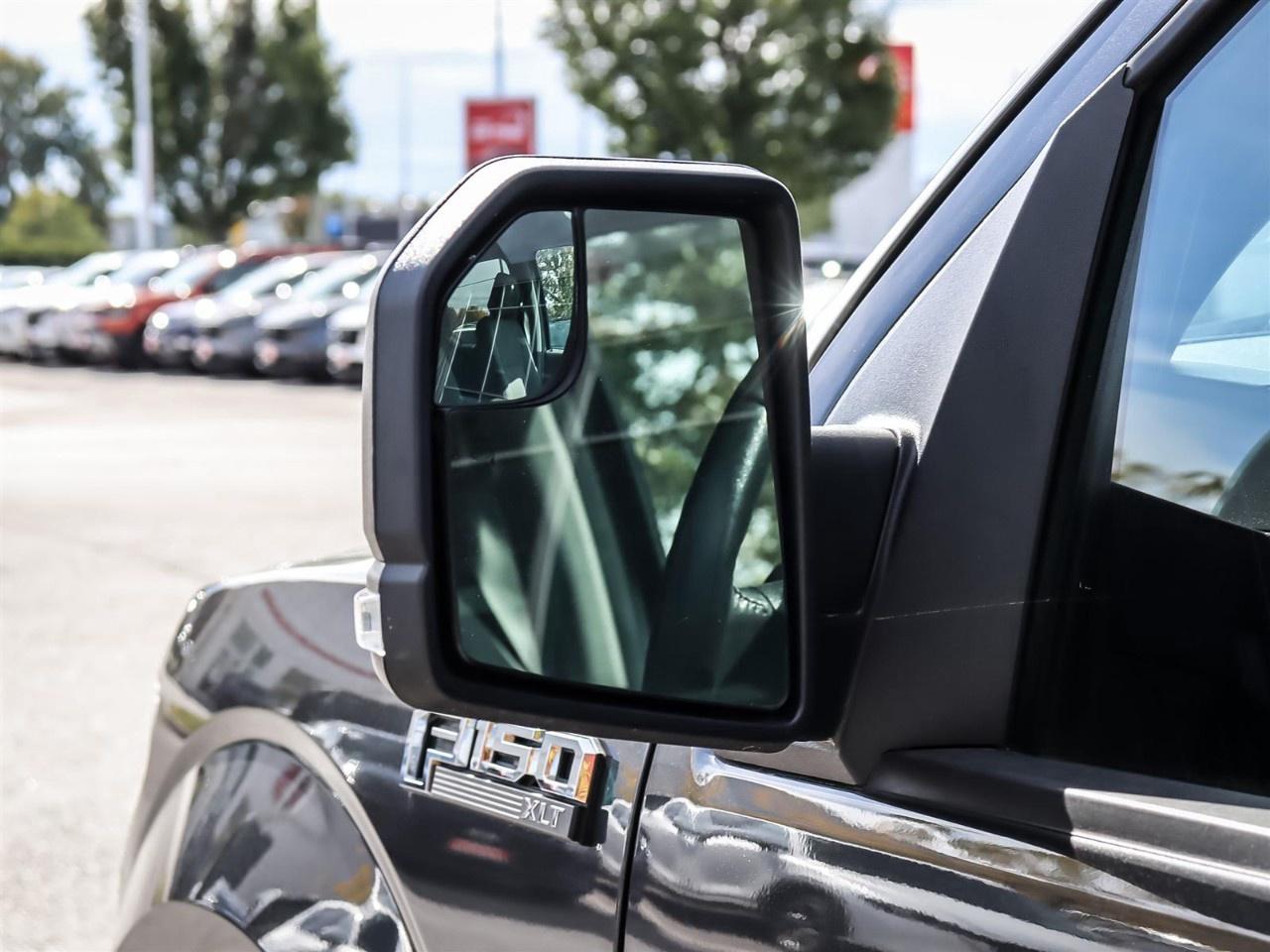 2020 Ford F-150  Photo