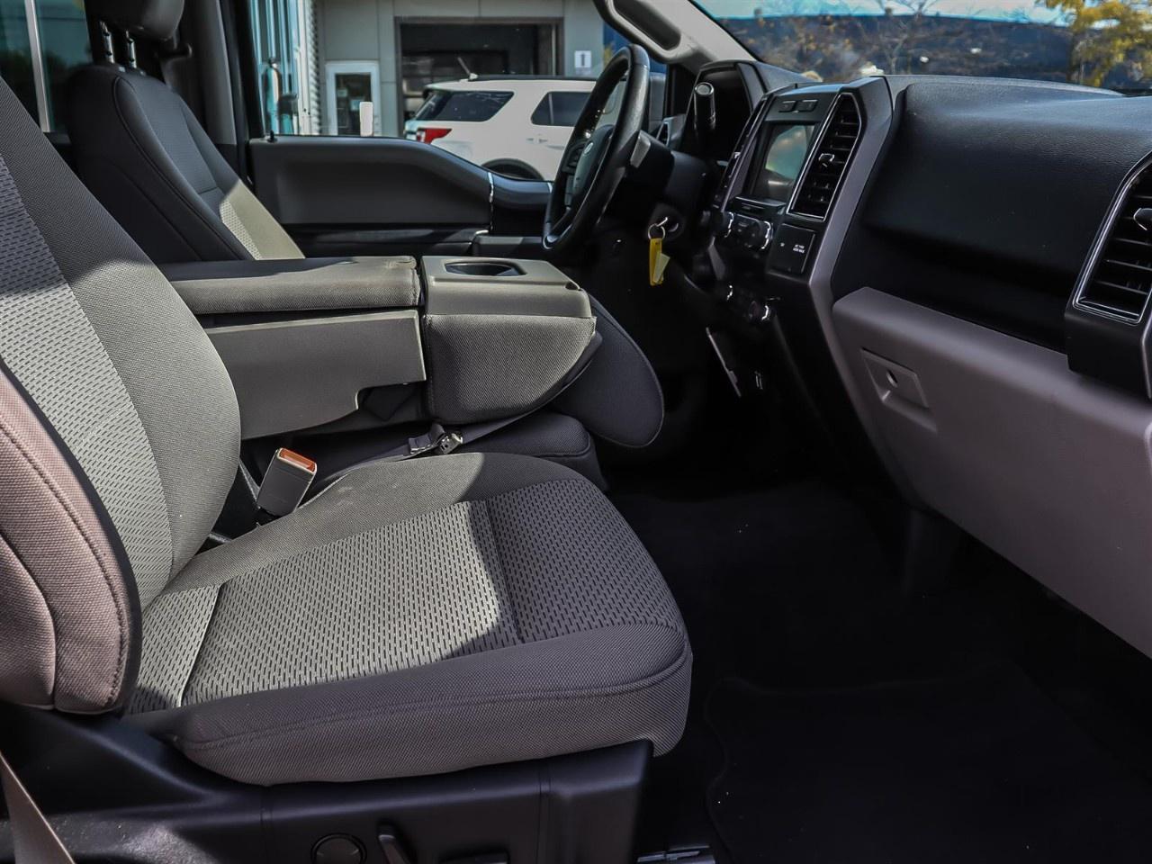 2020 Ford F-150  Photo