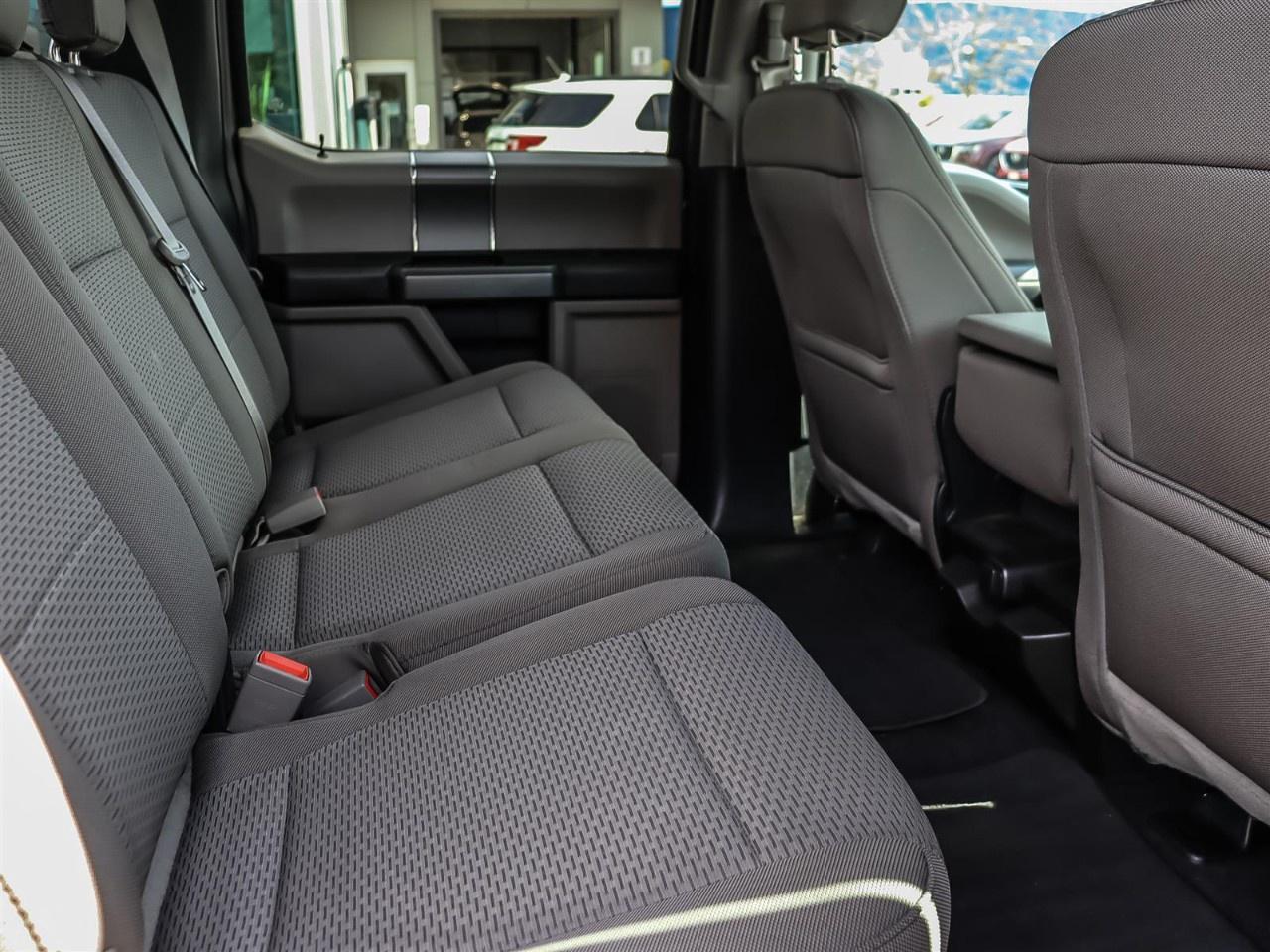2020 Ford F-150  Photo