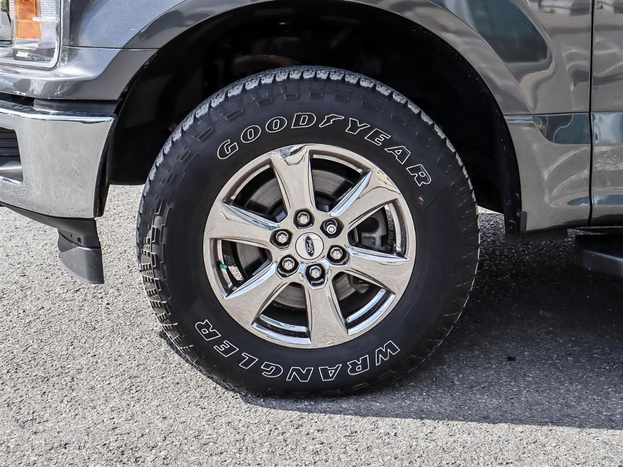 2020 Ford F-150  Photo