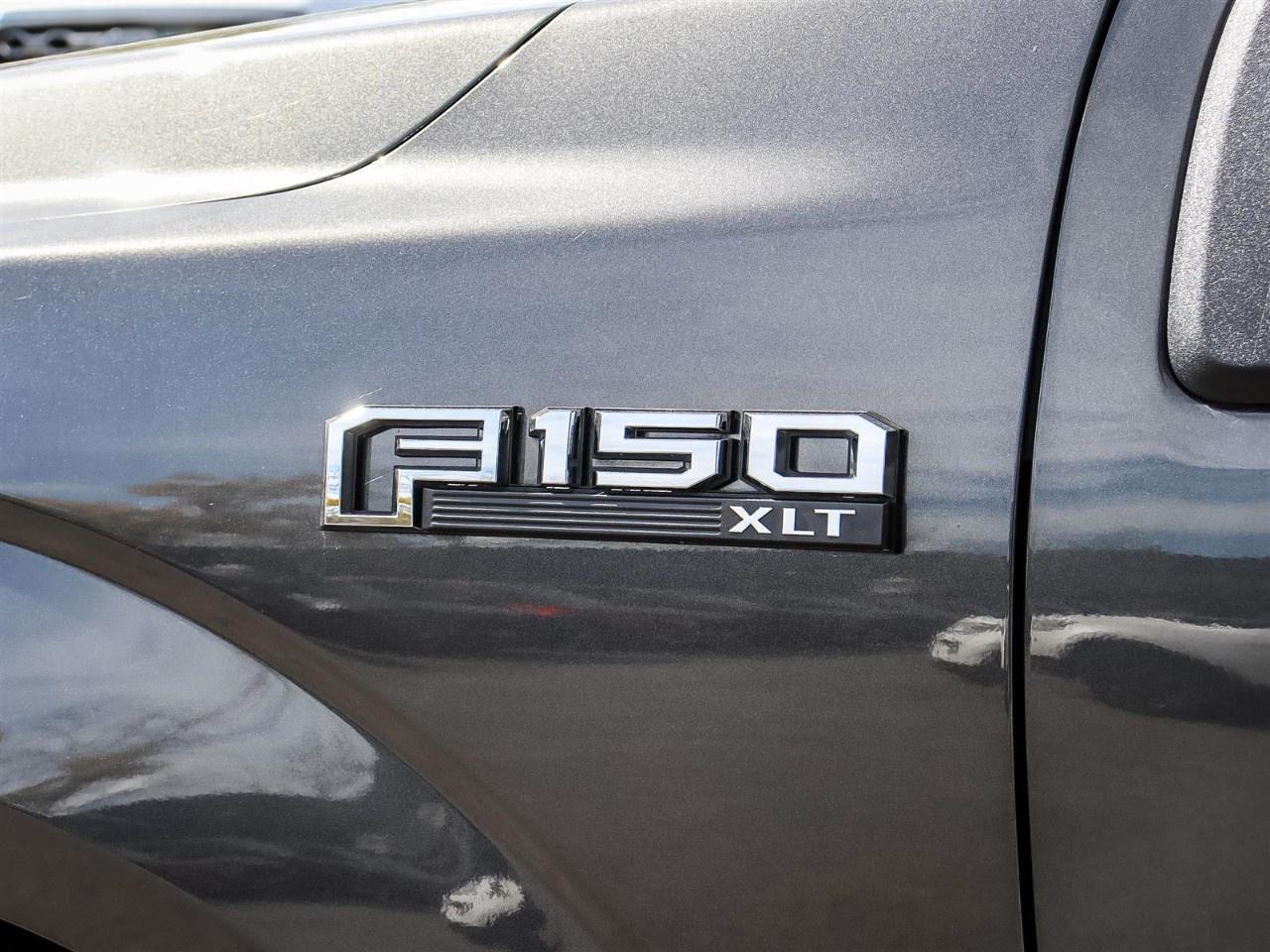 2020 Ford F-150  Photo