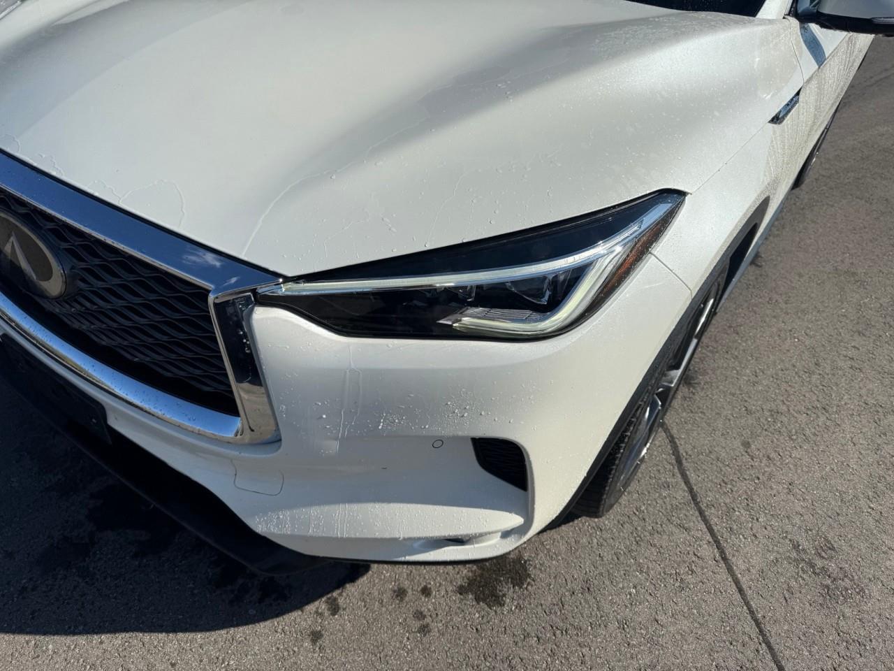 2019 Infiniti QX50  Photo