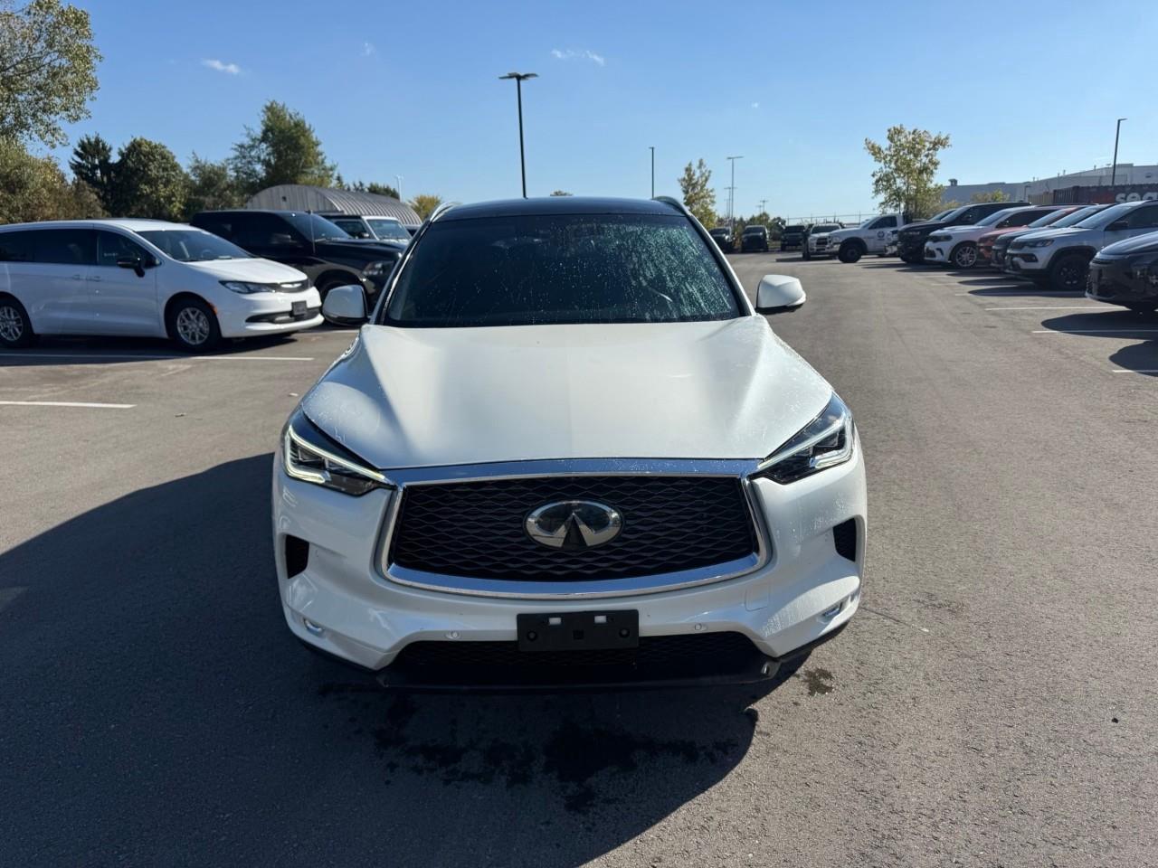 2019 Infiniti QX50  Photo