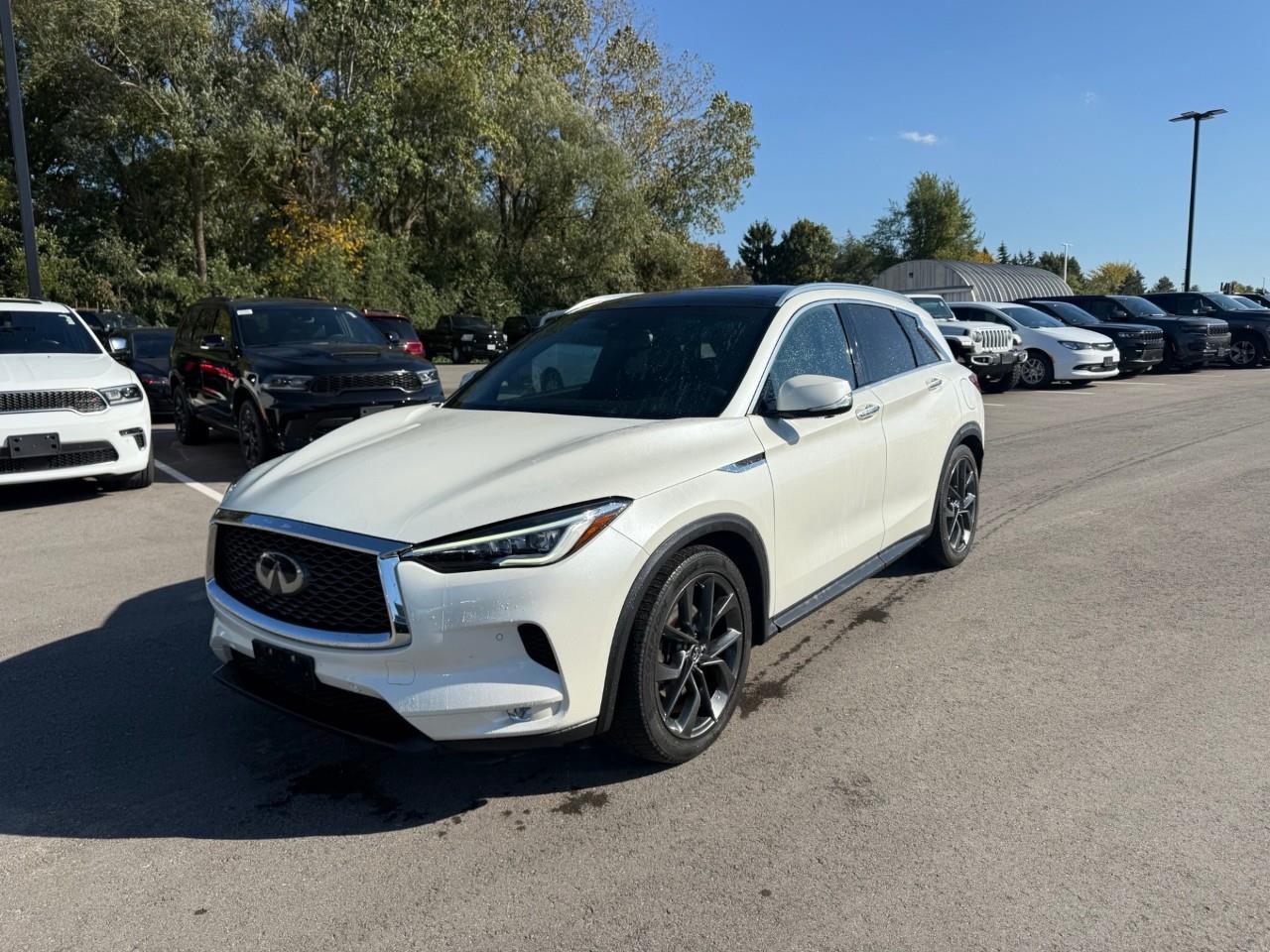 2019 Infiniti QX50  Photo