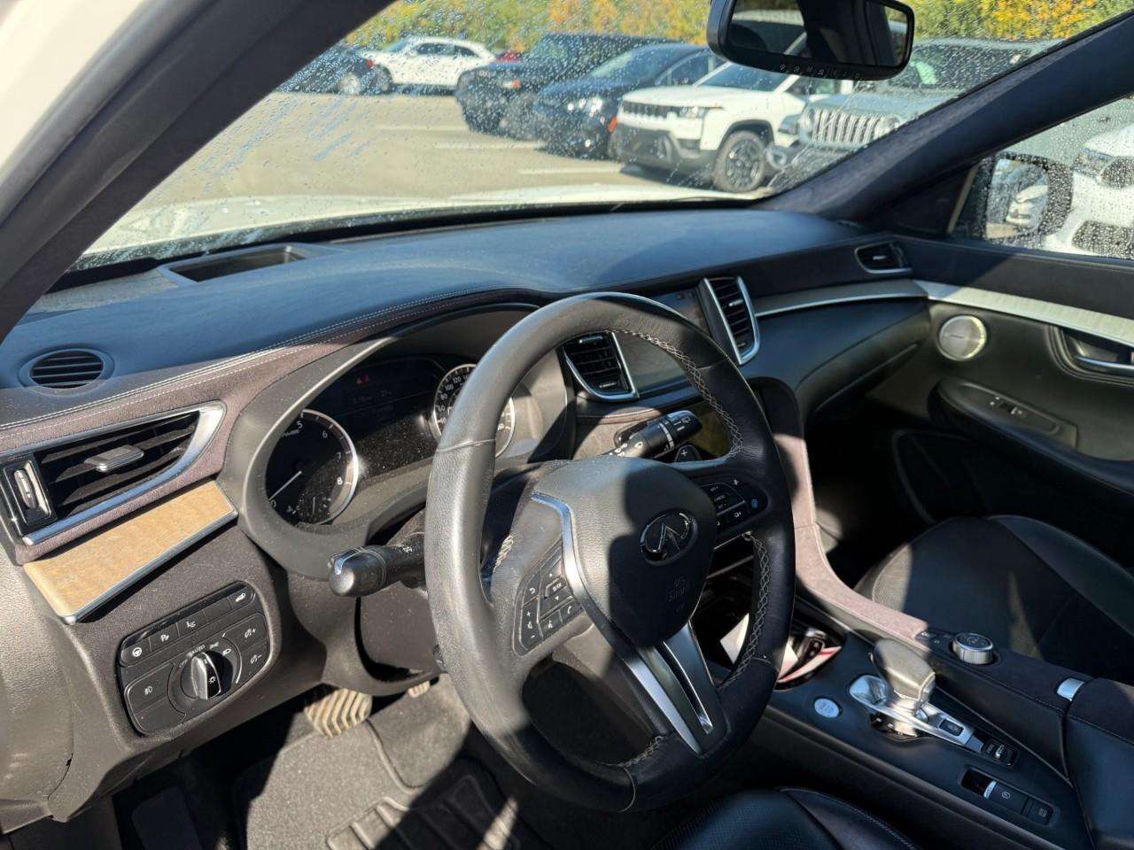 2019 Infiniti QX50  Photo