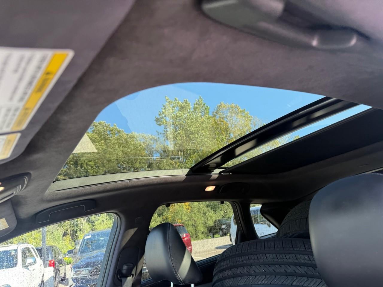2019 Infiniti QX50  Photo