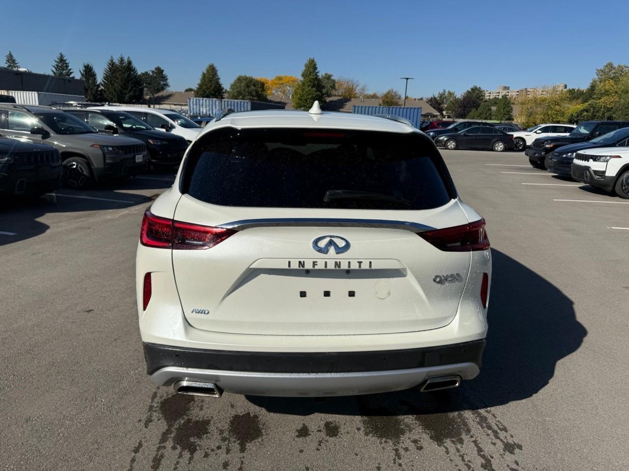 2019 Infiniti QX50  Photo