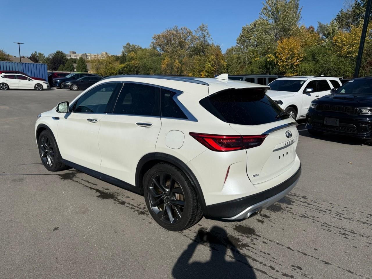 2019 Infiniti QX50  Photo