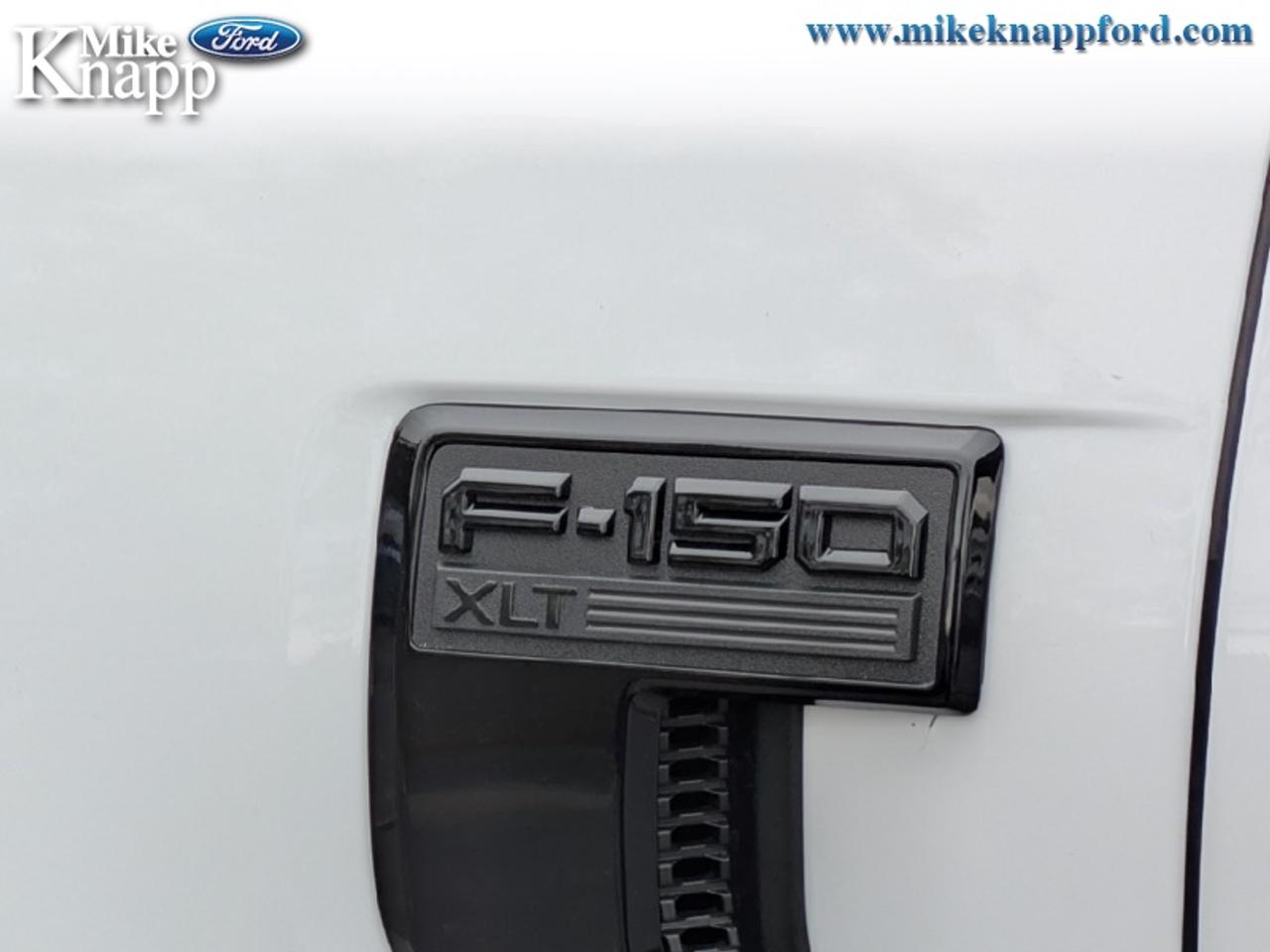 2026 Ford F-150 XLT Photo