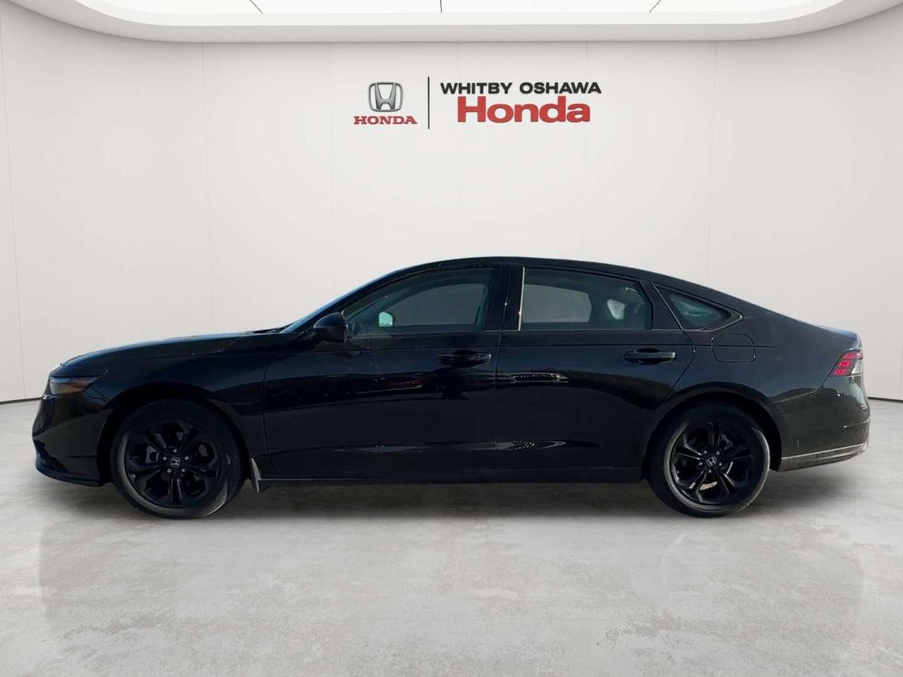 2025 Honda Accord SE Photo