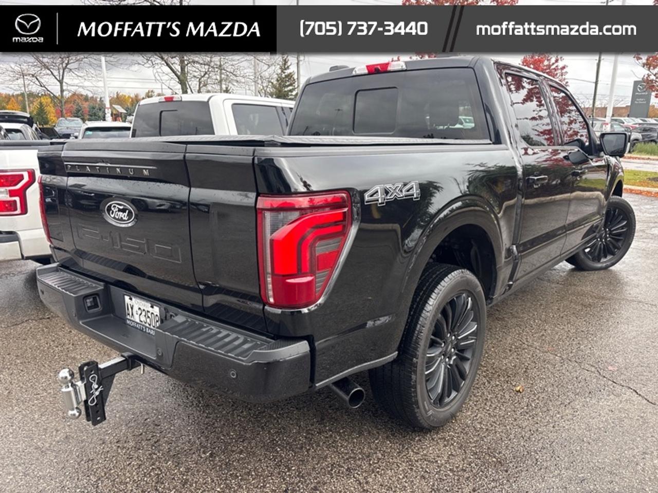 2025 Ford F-150 Platinum Photo4