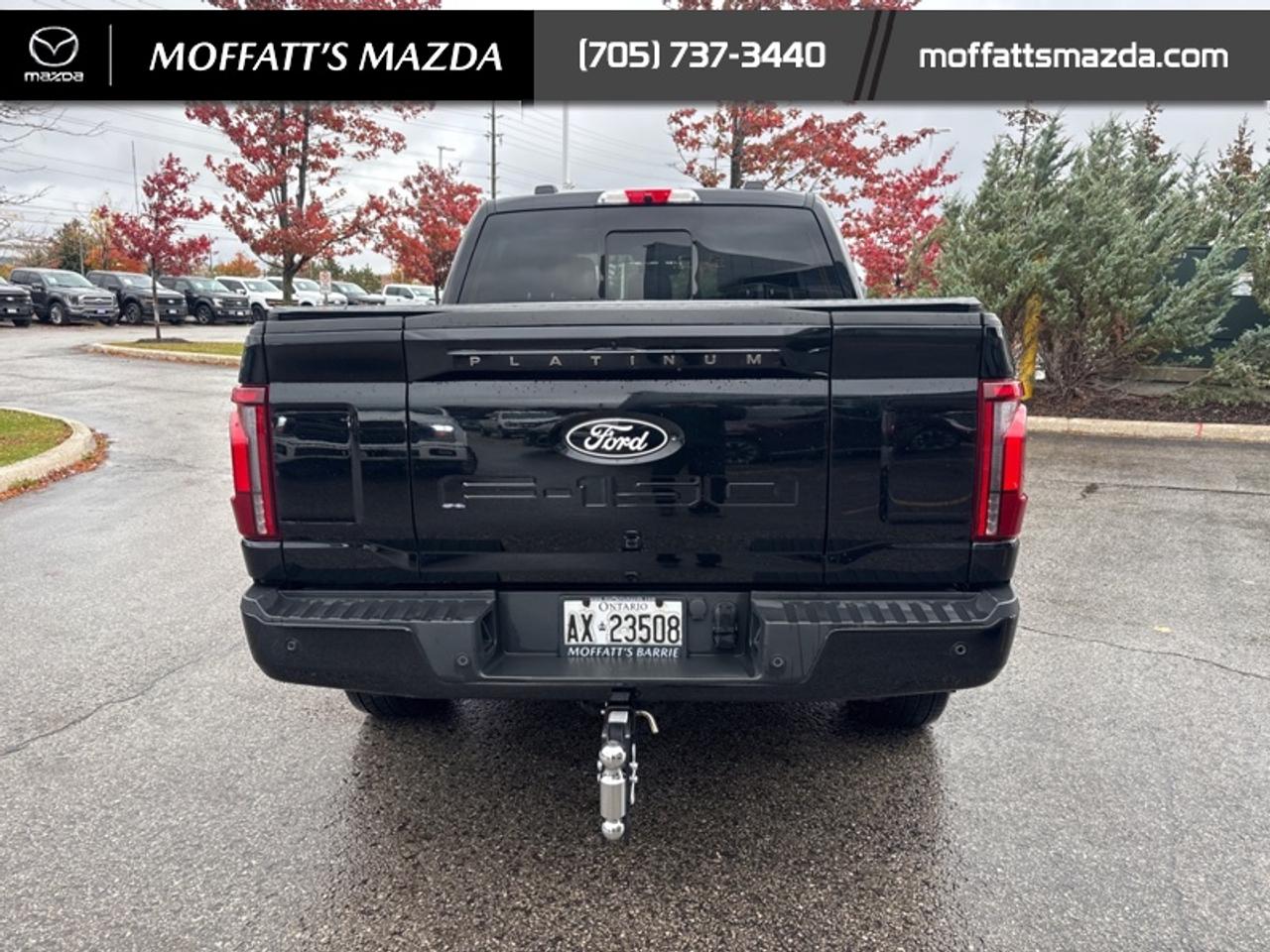2025 Ford F-150 Platinum Photo3