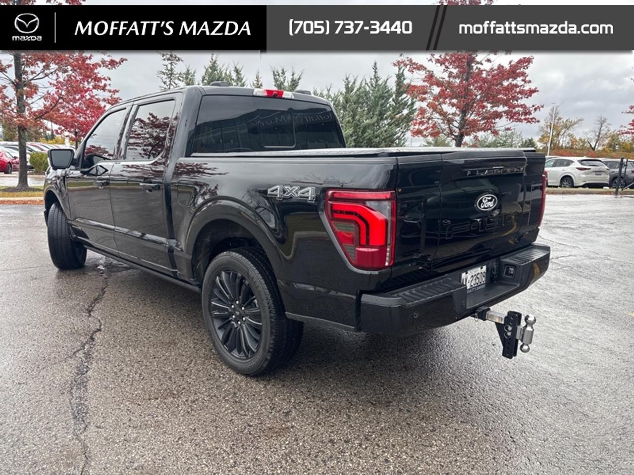 2025 Ford F-150 Platinum Photo2
