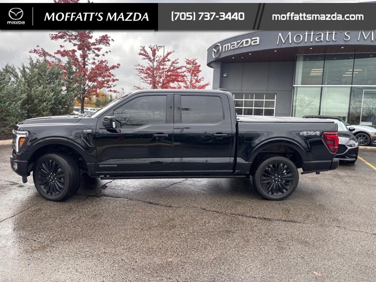 2025 Ford F-150 Platinum Photo1