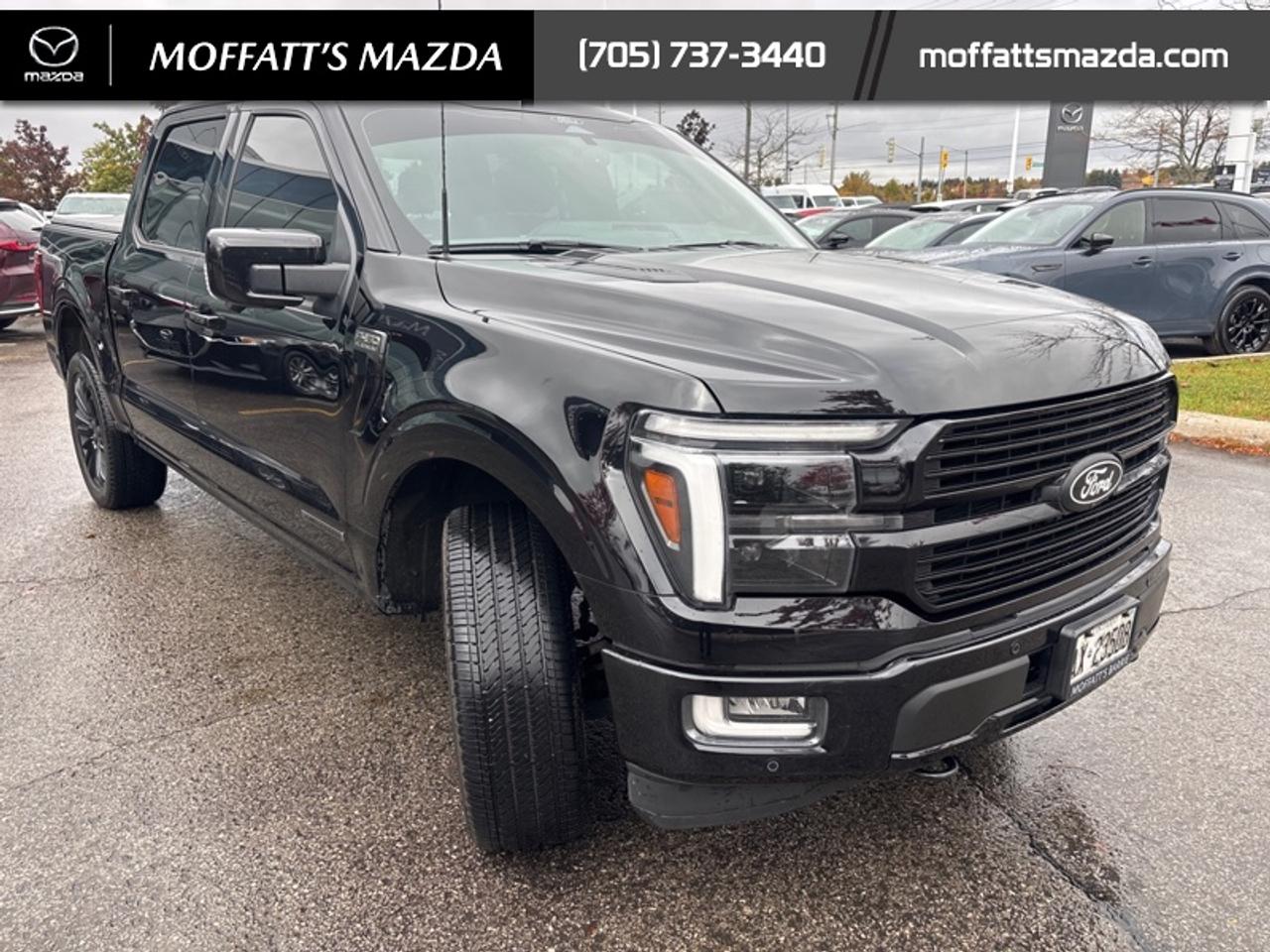 2025 Ford F-150 Platinum Photo