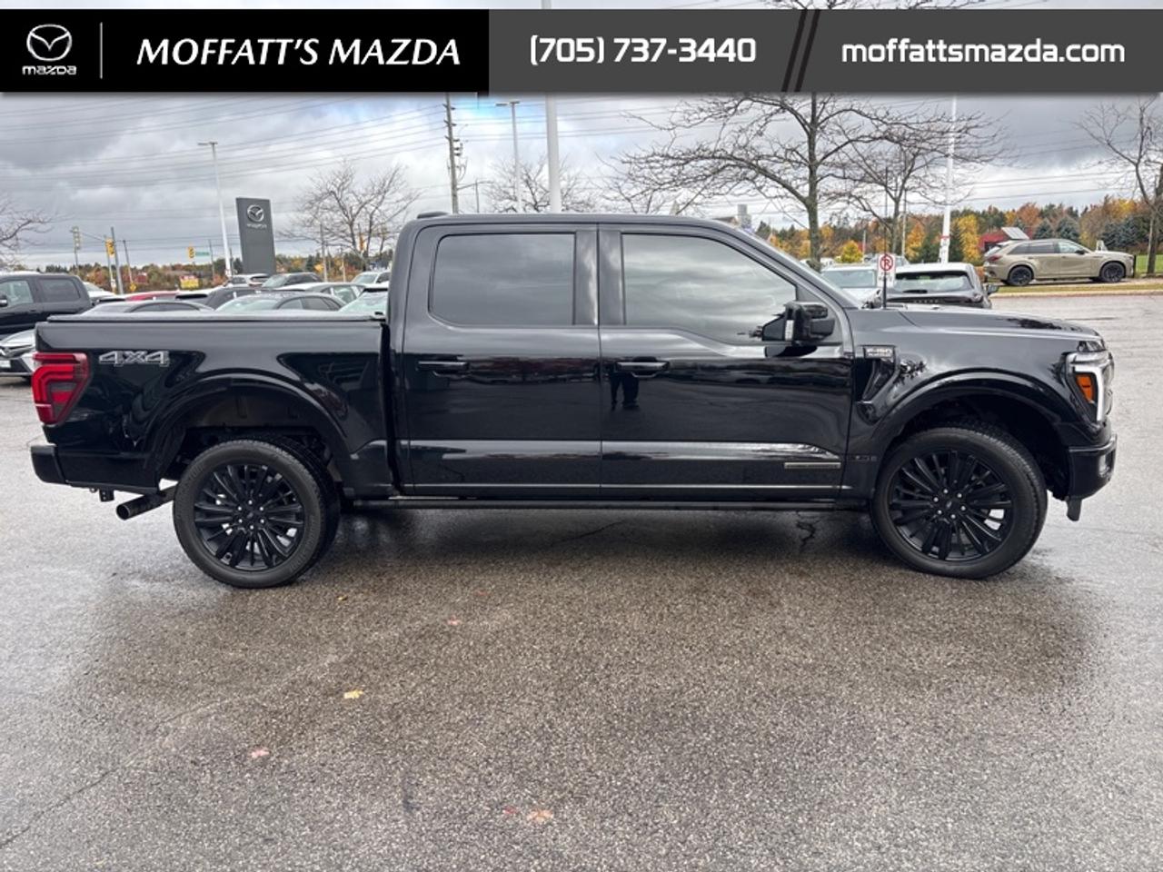 2025 Ford F-150 Platinum Photo