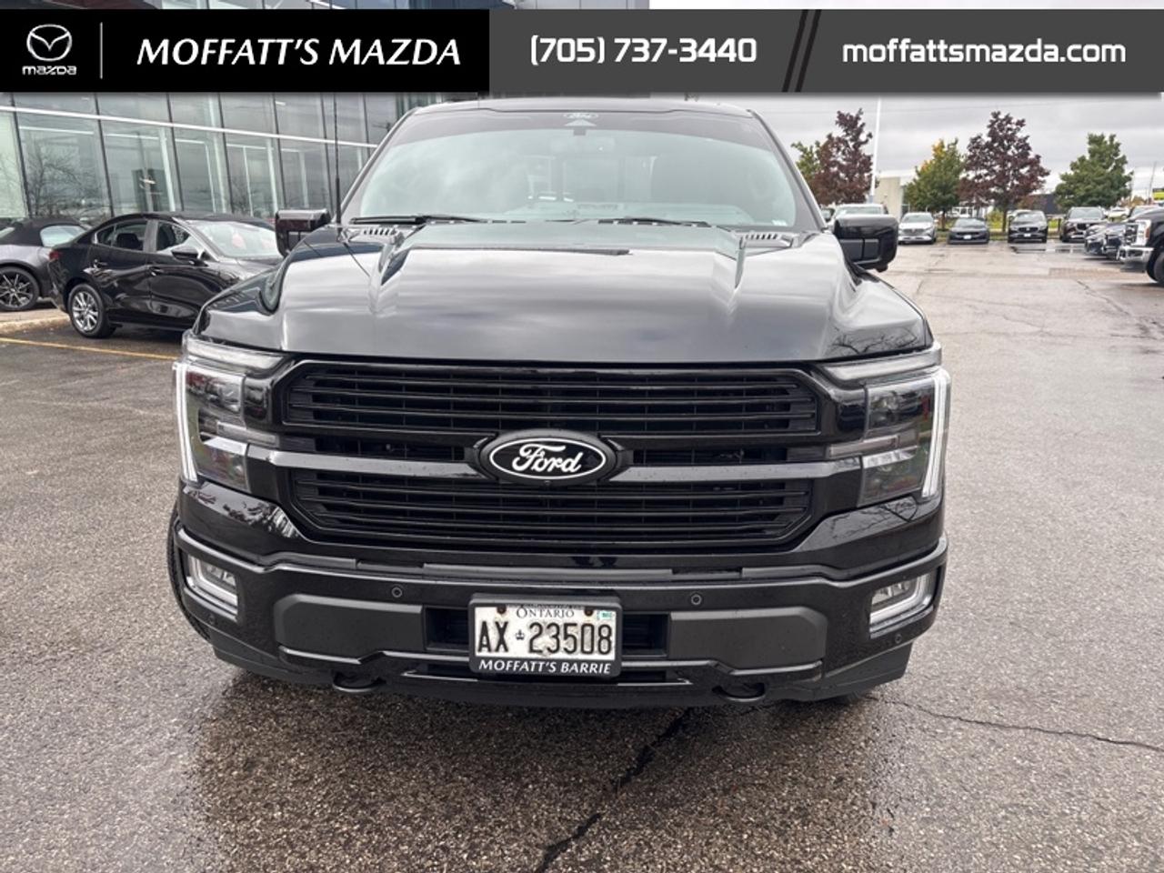 2025 Ford F-150 Platinum Photo