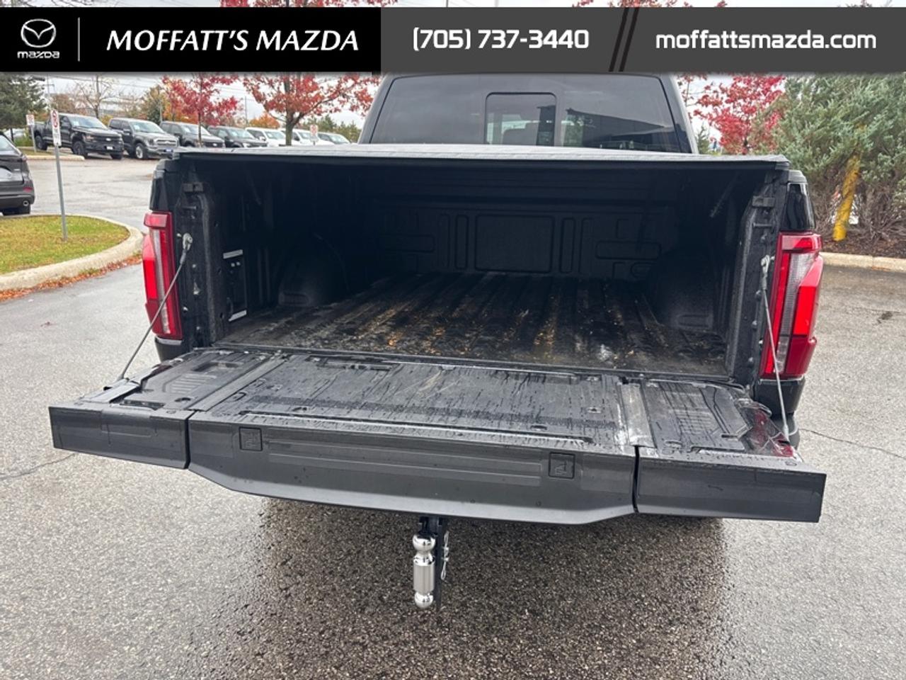 2025 Ford F-150 Platinum Photo
