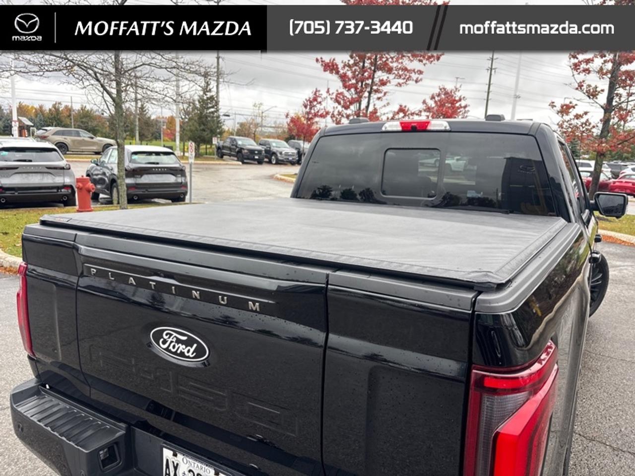 2025 Ford F-150 Platinum Photo