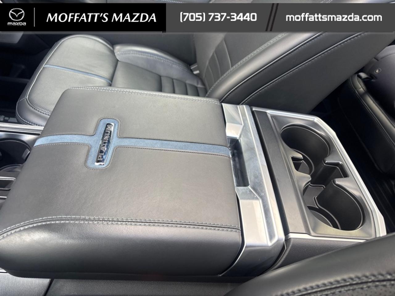 2025 Ford F-150 Platinum Photo