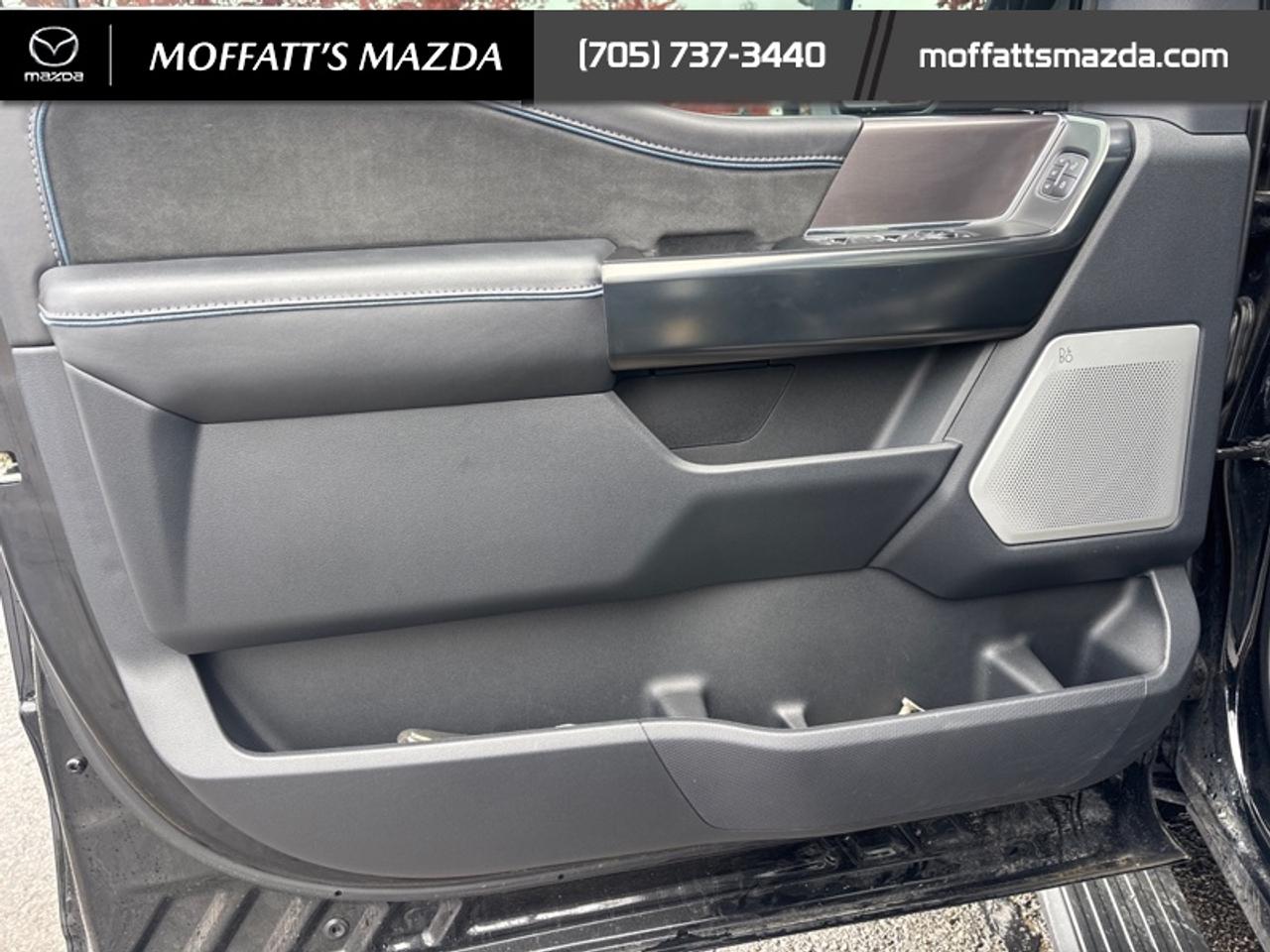 2025 Ford F-150 Platinum Photo