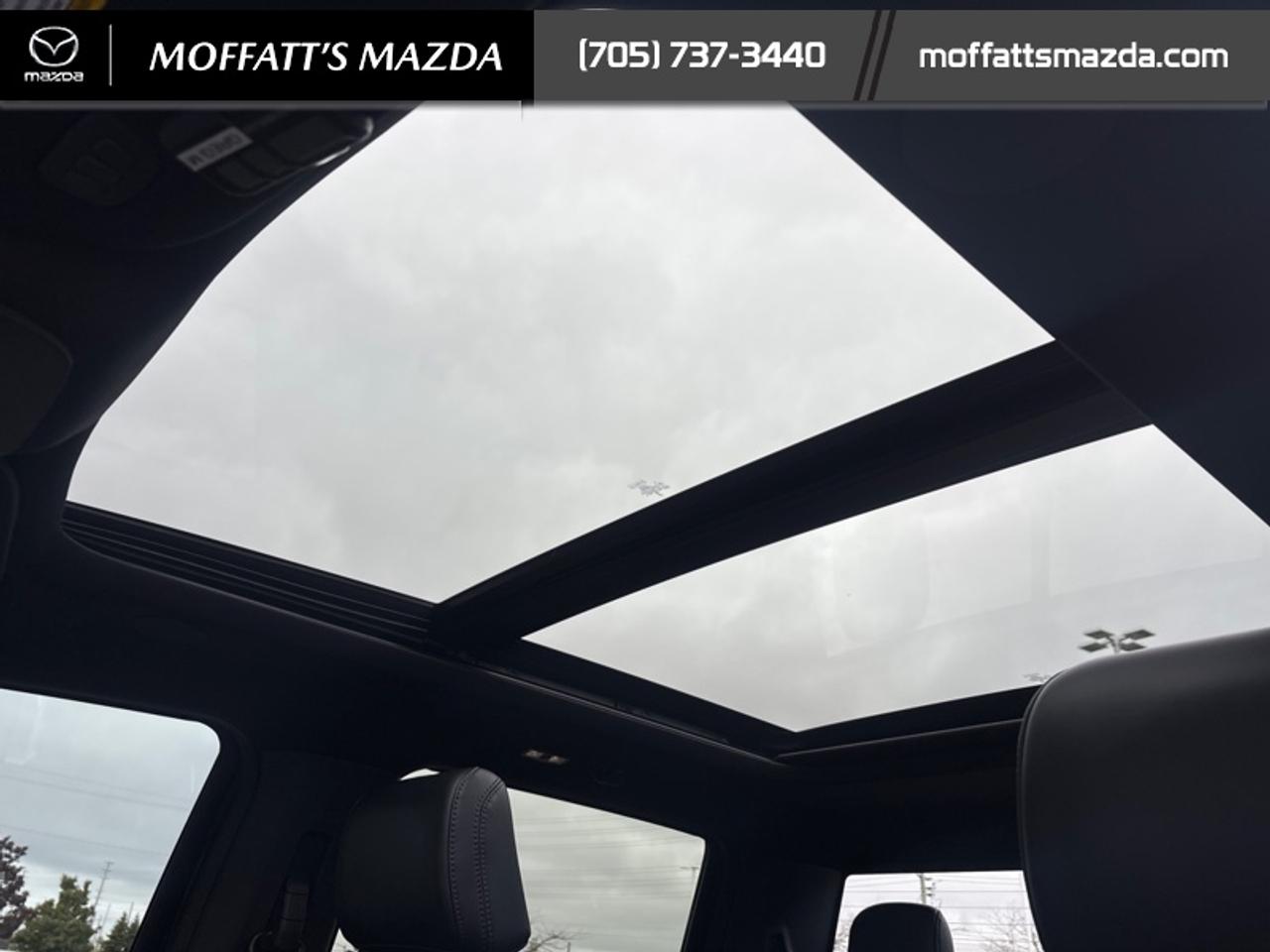 2025 Ford F-150 Platinum Photo
