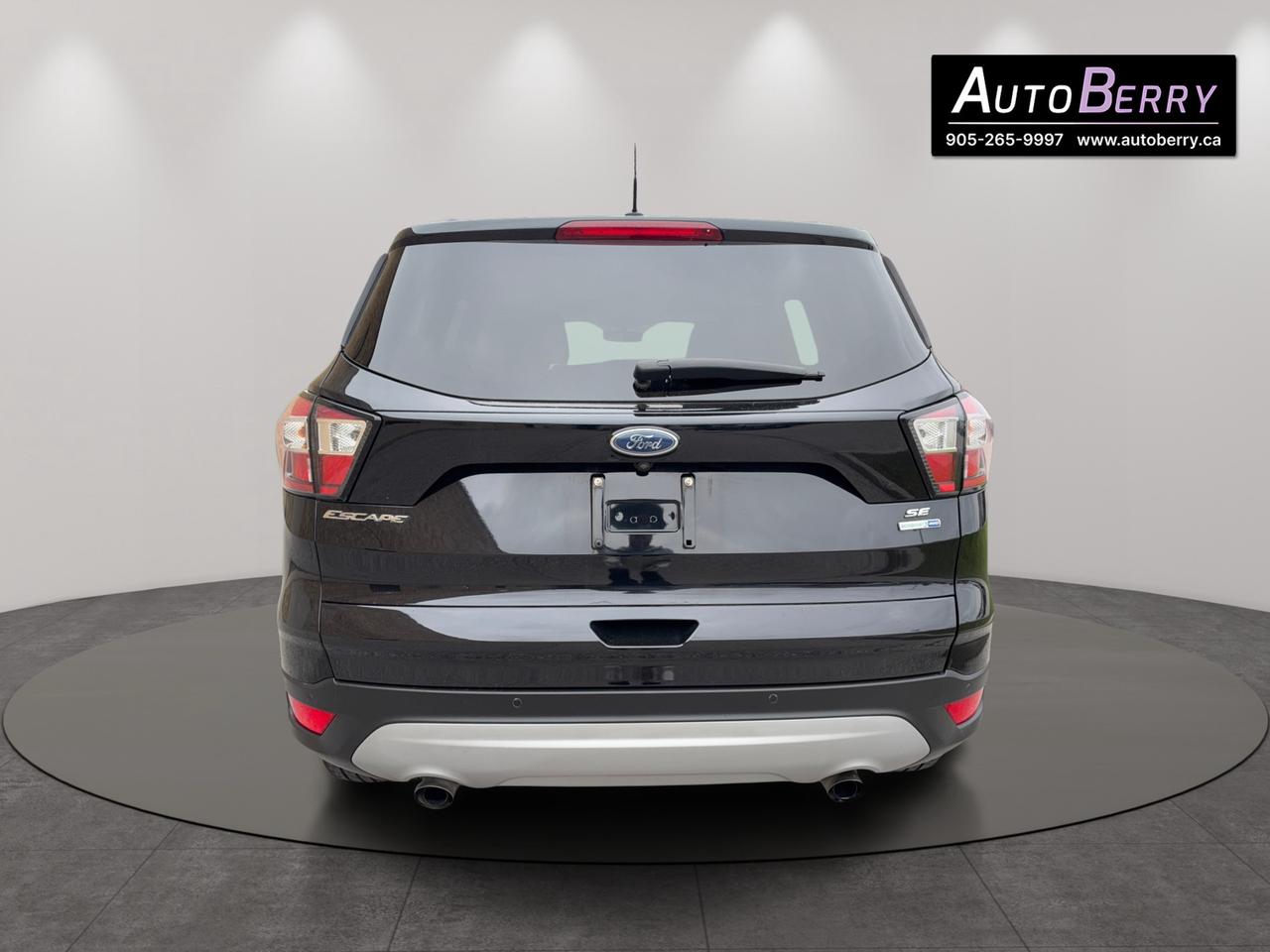 2017 Ford Escape SE Photo