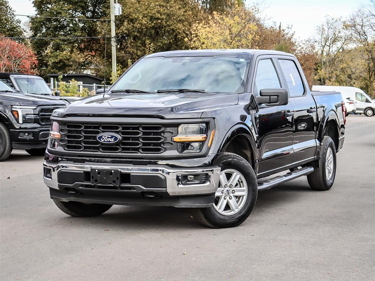 2024 Ford F-150 XL 4WD SuperCrew 5.5' Box Photo