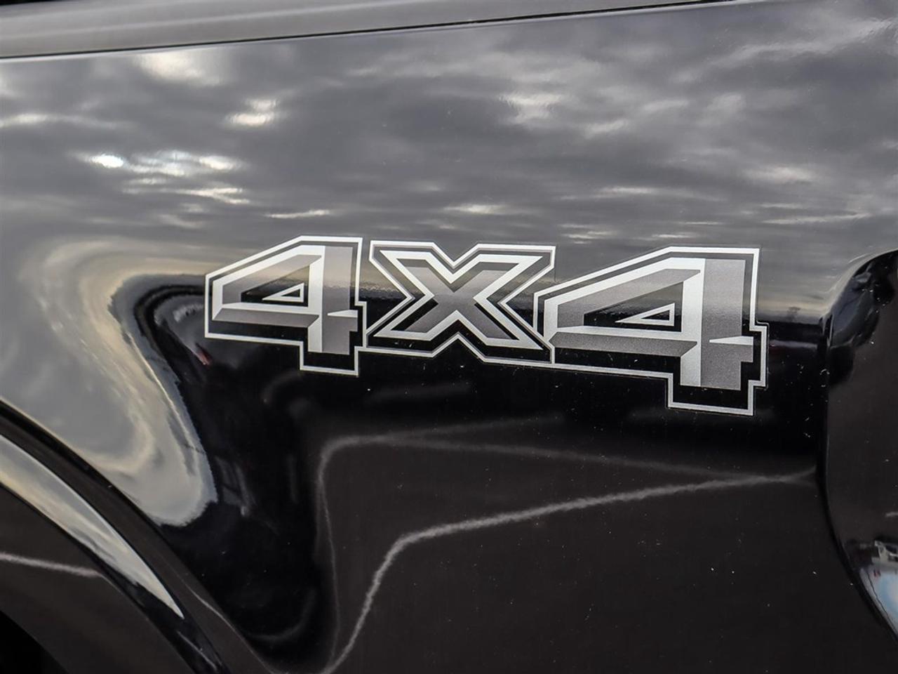2024 Ford F-150 XL 4WD SuperCrew 5.5' Box Photo