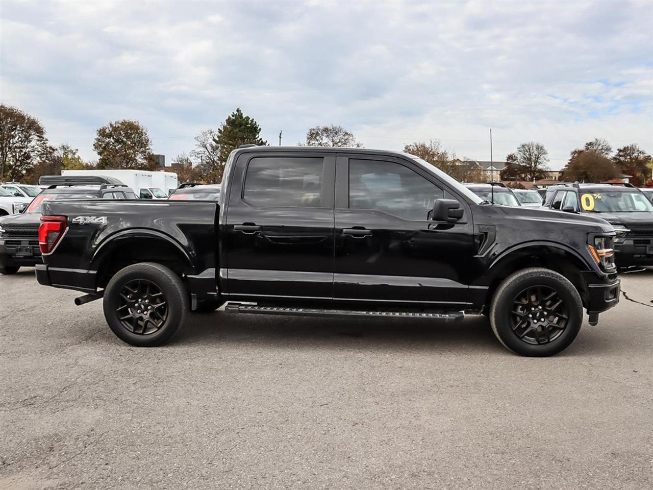 2024 Ford F-150 STX 4WD SuperCrew 5.5' Box Photo