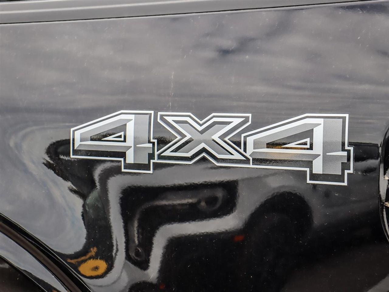 2024 Ford F-150 STX 4WD SuperCrew 5.5' Box Photo