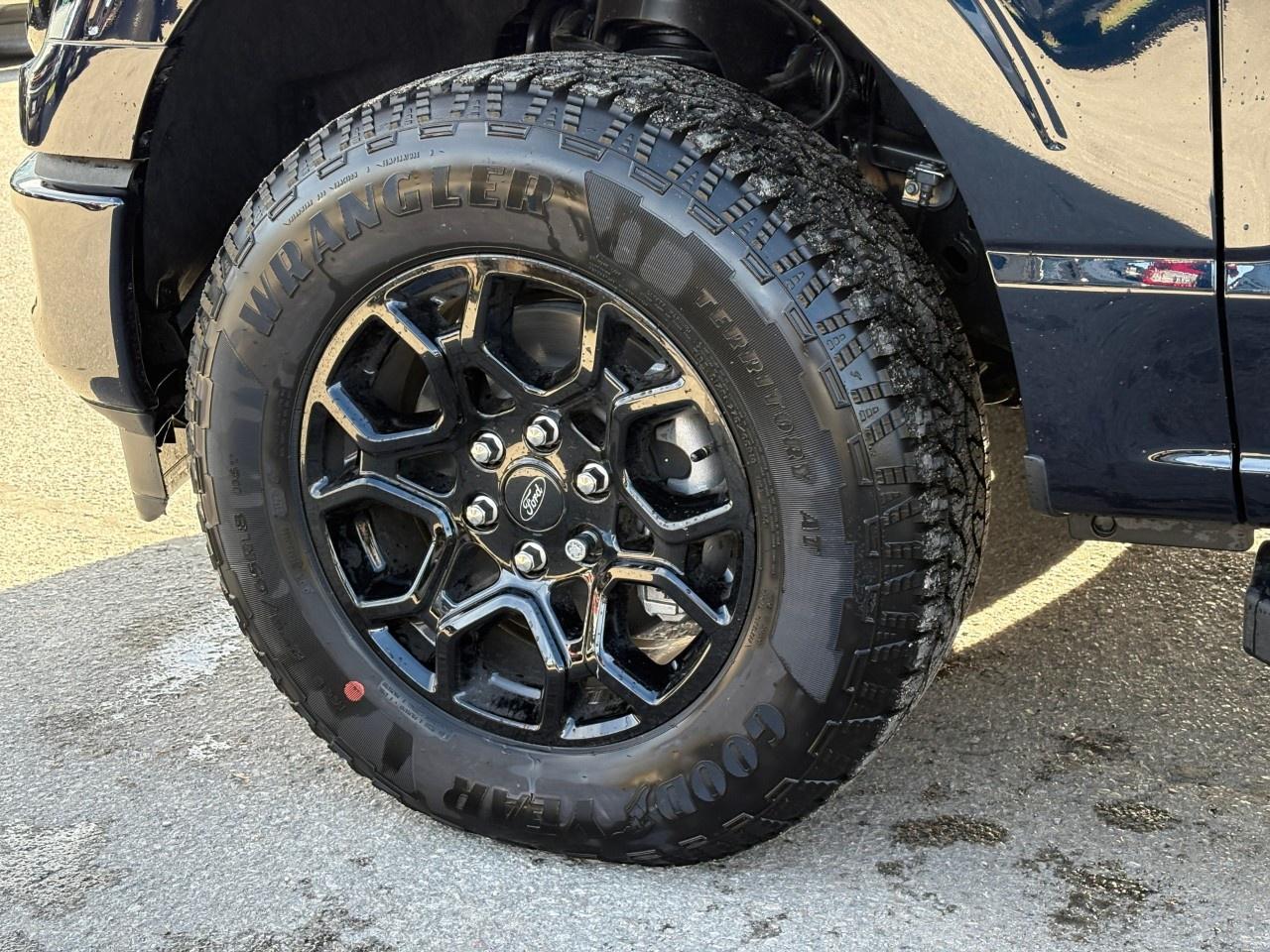 2026 Ford F-150 XLT 4WD SuperCrew 6.5' Box Photo