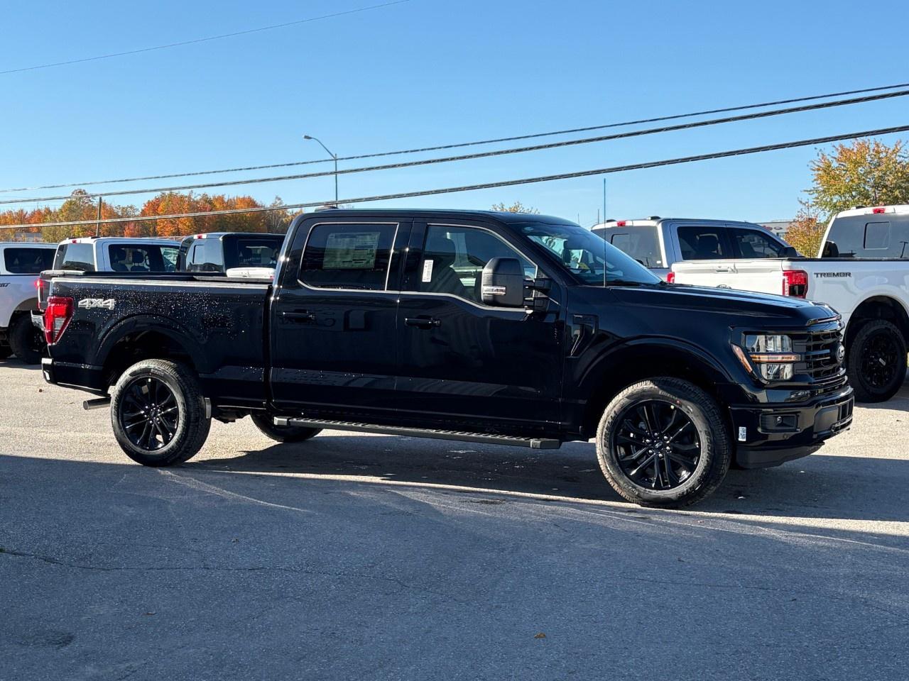 2026 Ford F-150 XLT 4WD SuperCrew 6.5' Box Photo