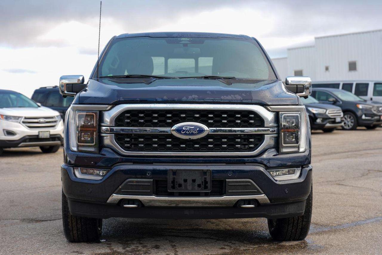 2022 Ford F-150 PLATINUM 4WD SUPERCREW 5.5' BOX LOW KM LEATHER PAN Photo