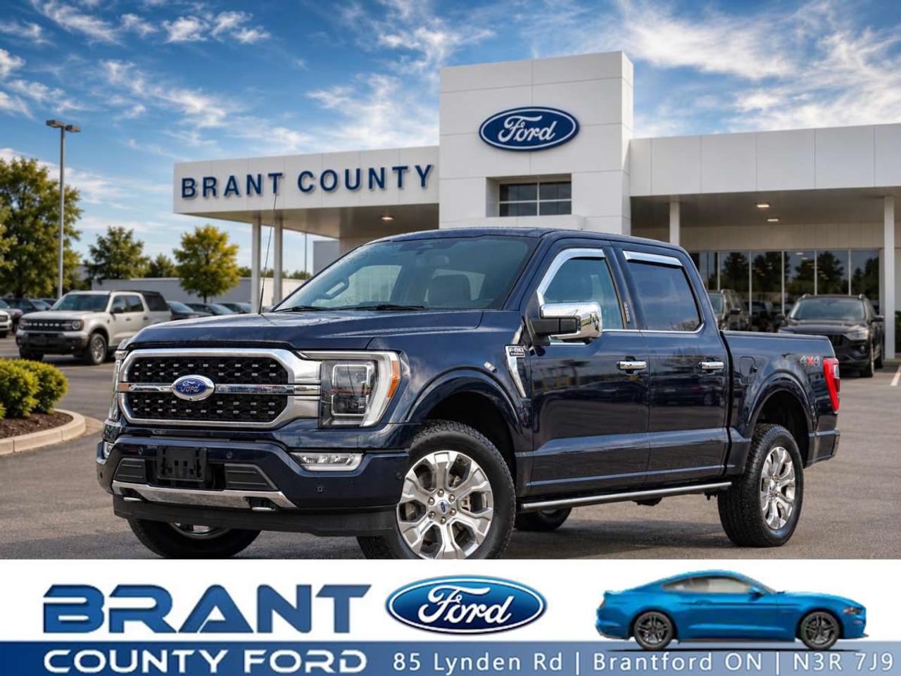 2022 Ford F-150 PLATINUM 4WD SUPERCREW 5.5' BOX LOW KM LEATHER PAN Photo