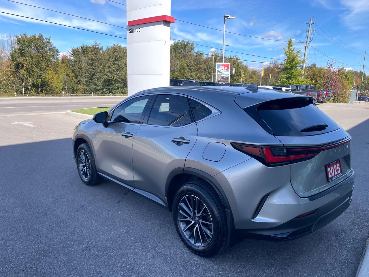 2025 Lexus NX NX 450h + AWD Photo
