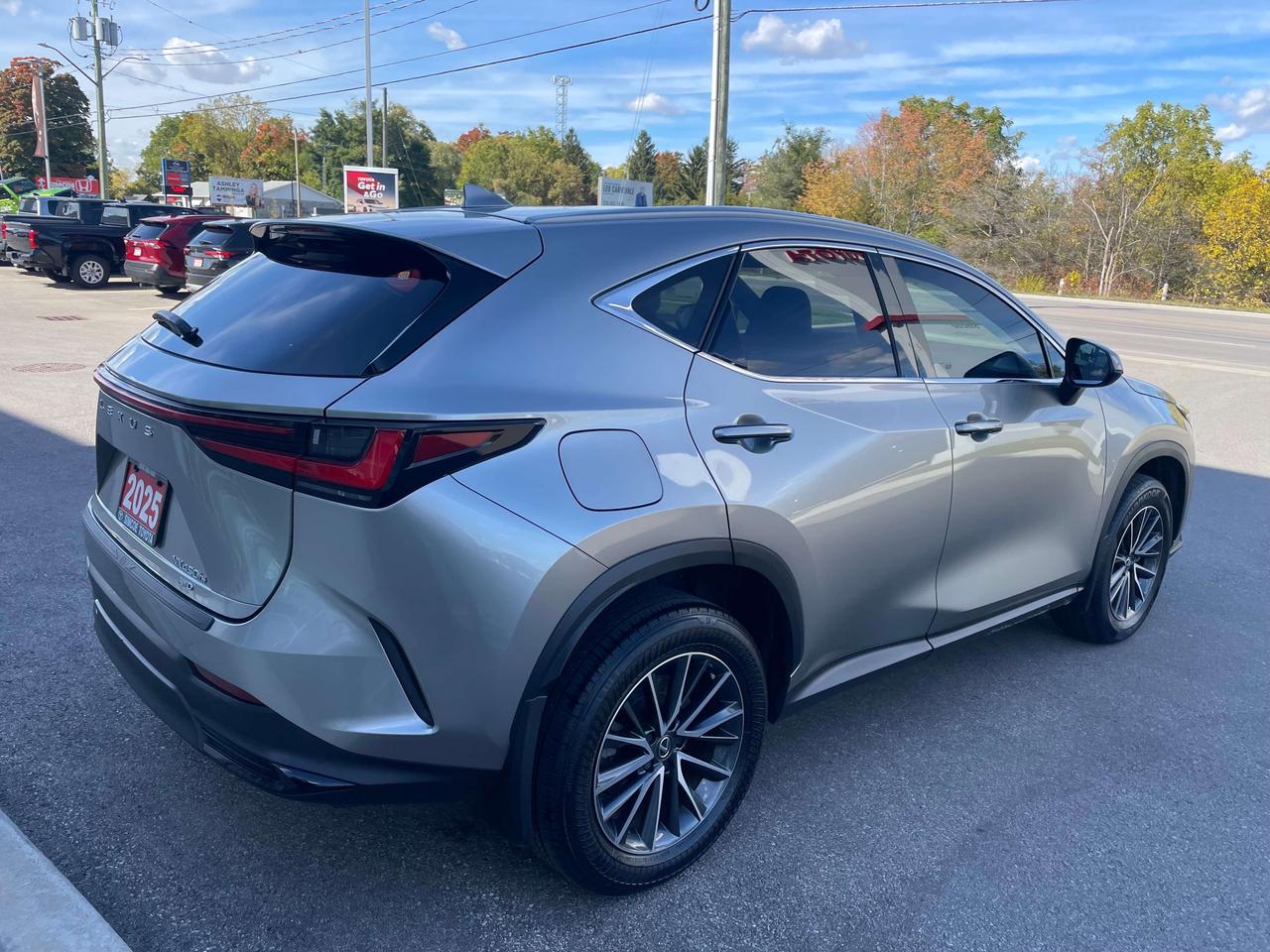2025 Lexus NX NX 450h + AWD Photo