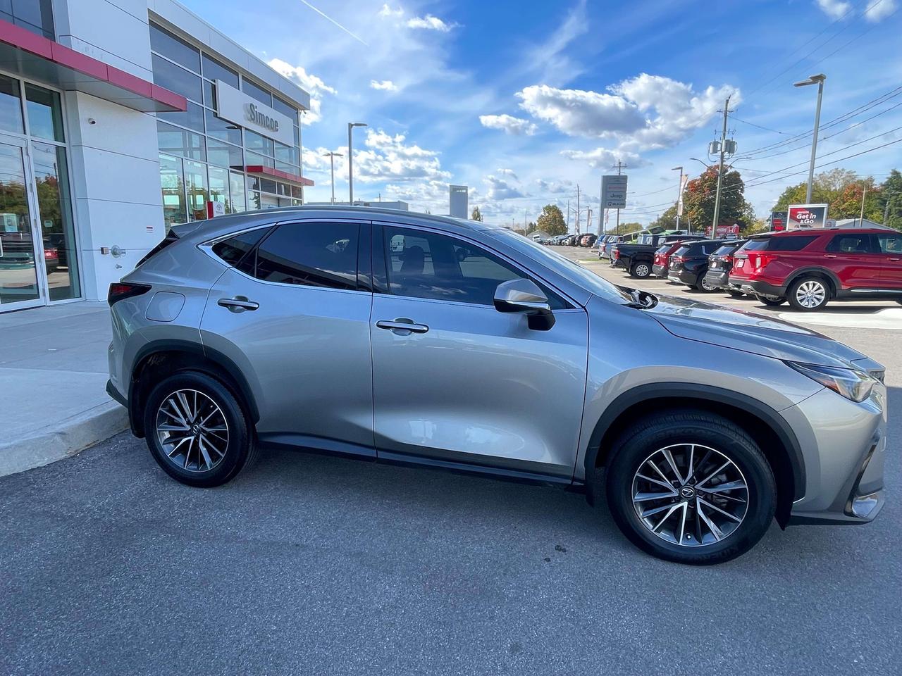 2025 Lexus NX NX 450h + AWD Photo