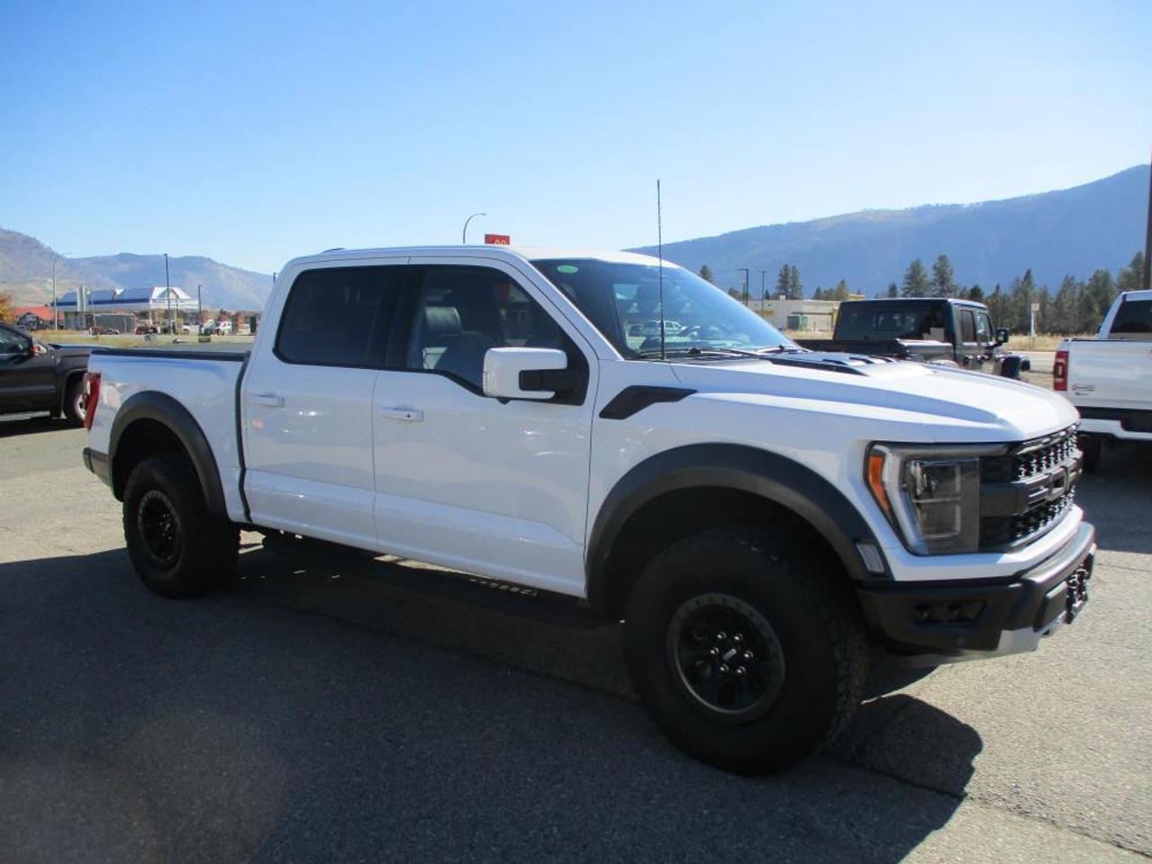 2023 Ford F-150 Raptor SuperCrew 4WD - Photo #4