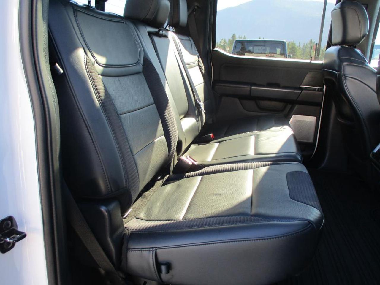 2023 Ford F-150 Raptor SuperCrew 4WD - Photo #12