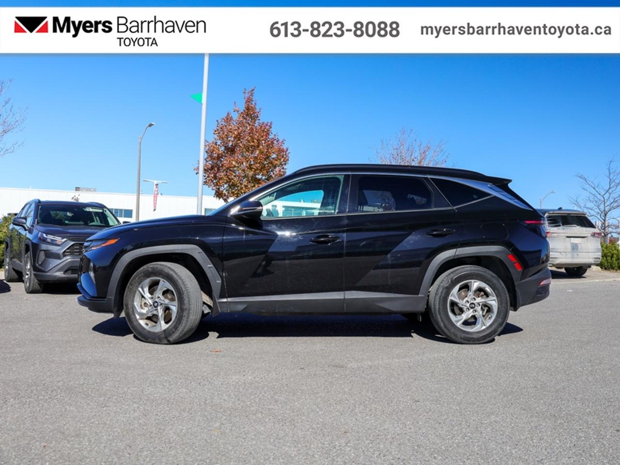2024 Hyundai Tucson Trend  - Sunroof -  Navigation - $215 B/W Photo