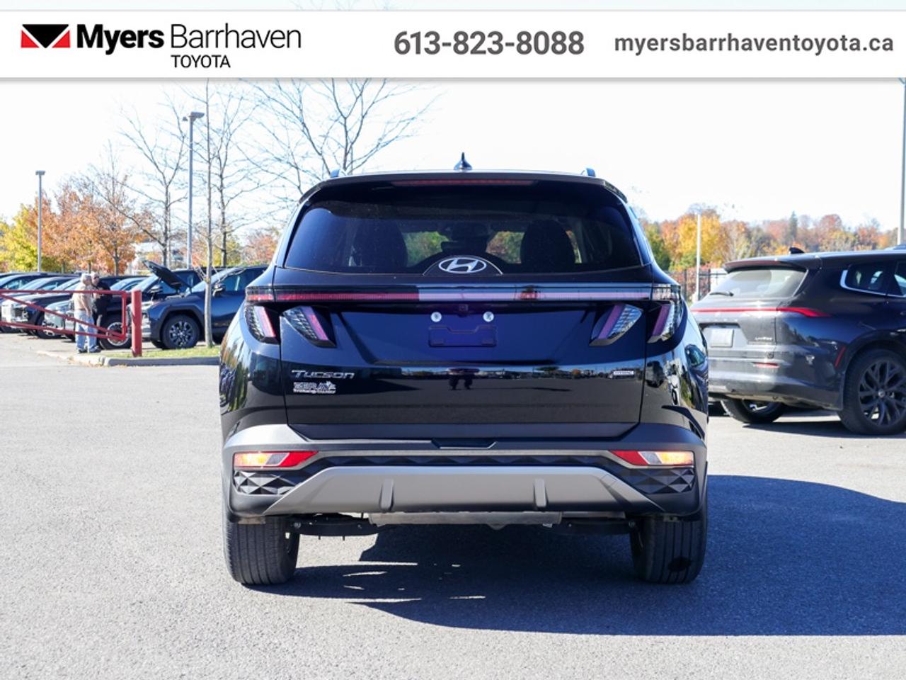 2024 Hyundai Tucson Trend  - Sunroof -  Navigation - $215 B/W Photo