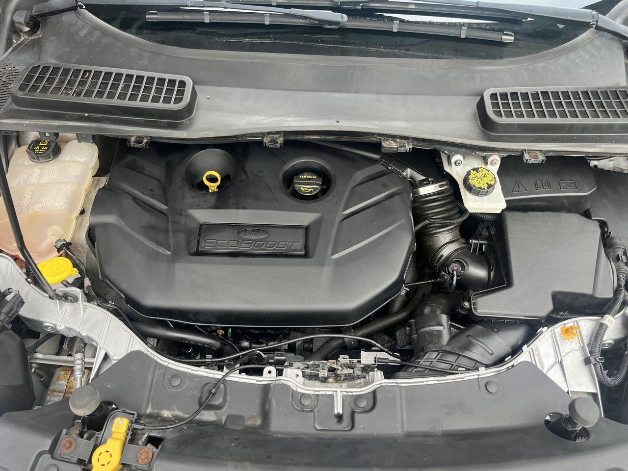 2016 Ford Escape SE Photo