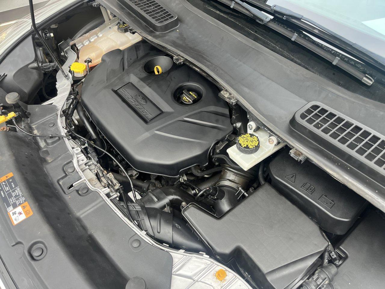 2016 Ford Escape SE Photo