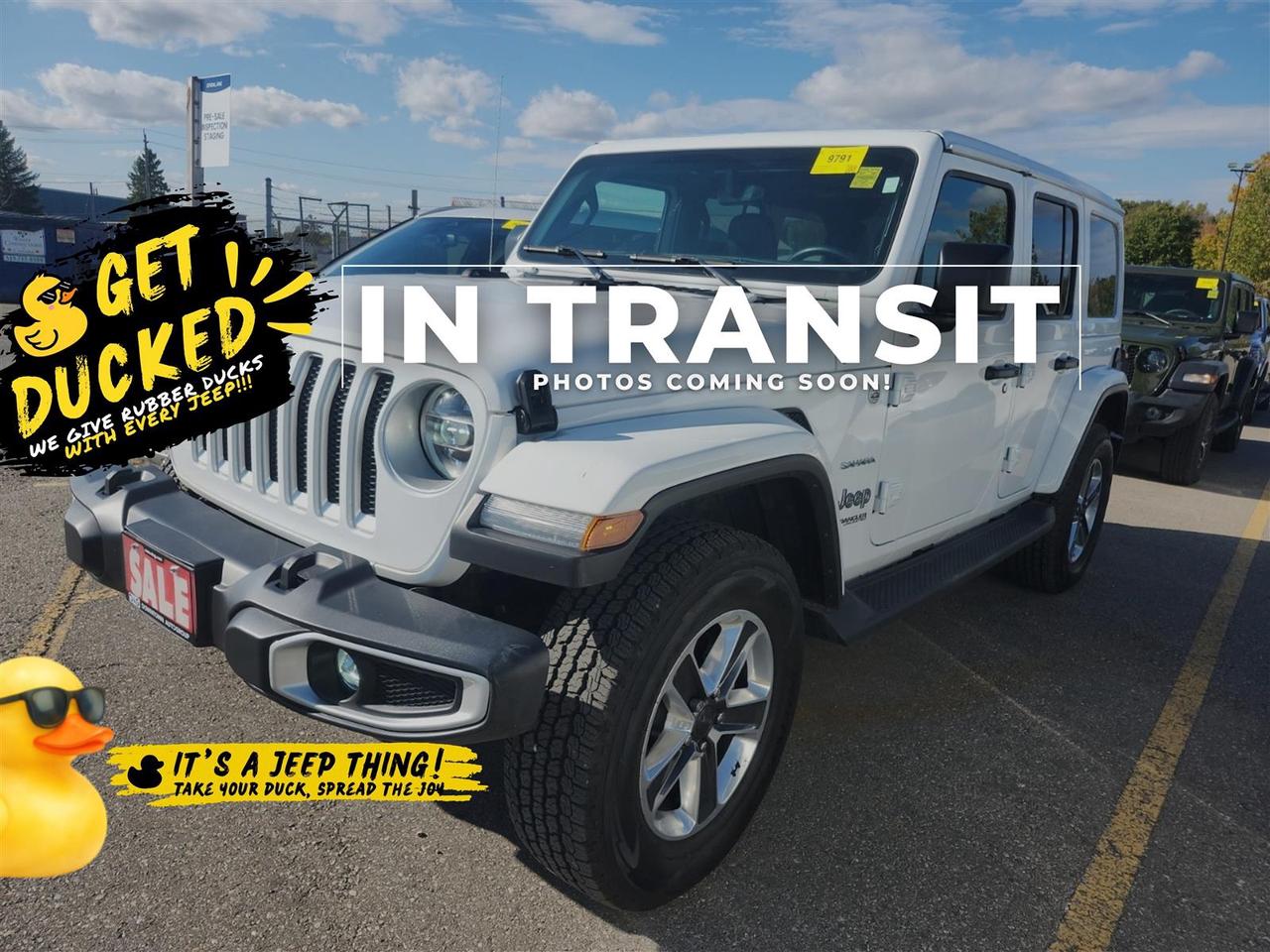 2022 Jeep Wrangler SAHARA 4X4 | LEATHER | NO ACCIDENTS | COLD + LED PKG Photo0